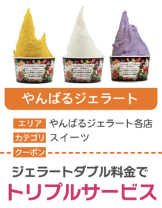 coupon_yanbaru